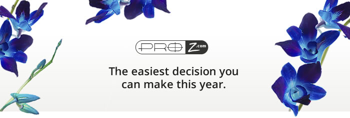 ProZ.com Membership Campaign